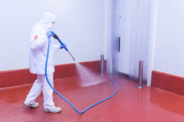 Best Playground Equipment Cleaning  in Syracuse, NY